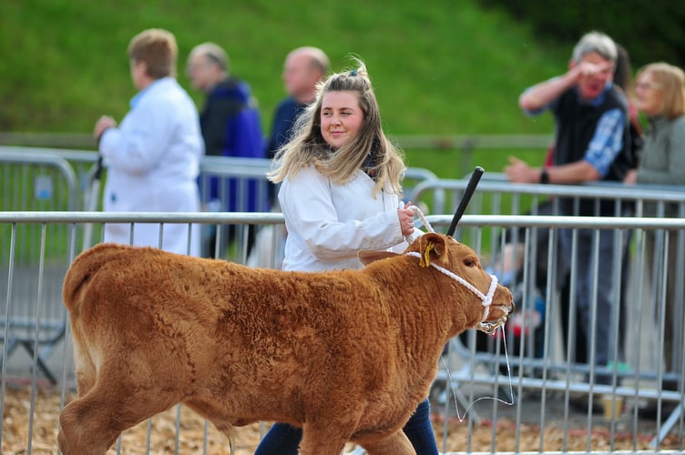Devon County Show. 