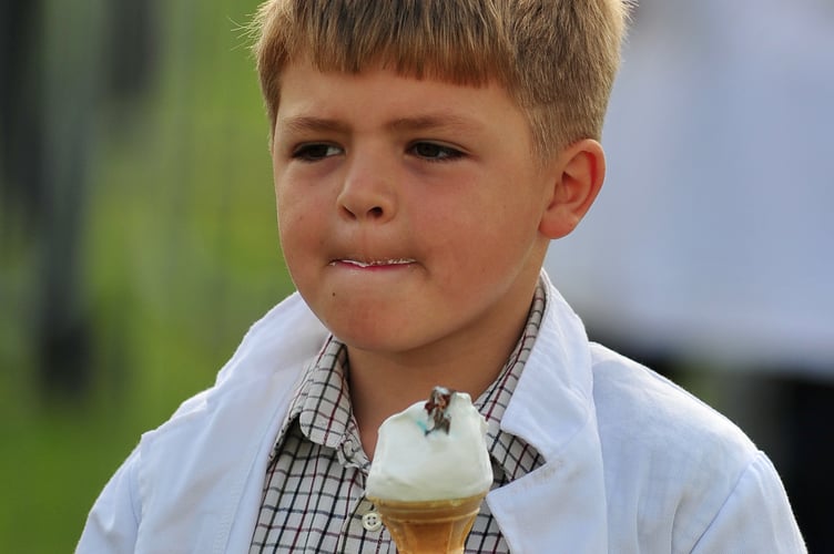 Devon County Show