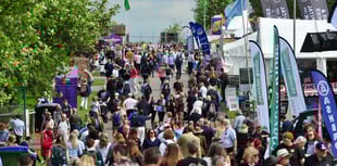 Alpacas, shanty singers and a gorilla... a day at the county show!