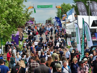 Alpacas, shanty singers and a gorilla... a day at the county show!