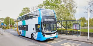 Traffic lights cause bus 'chaos'