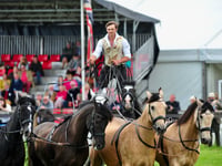Atkinson's 'Action Horses' to thrill crowds at county show