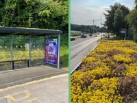 Nine buzz shelters take root across Teignbridge