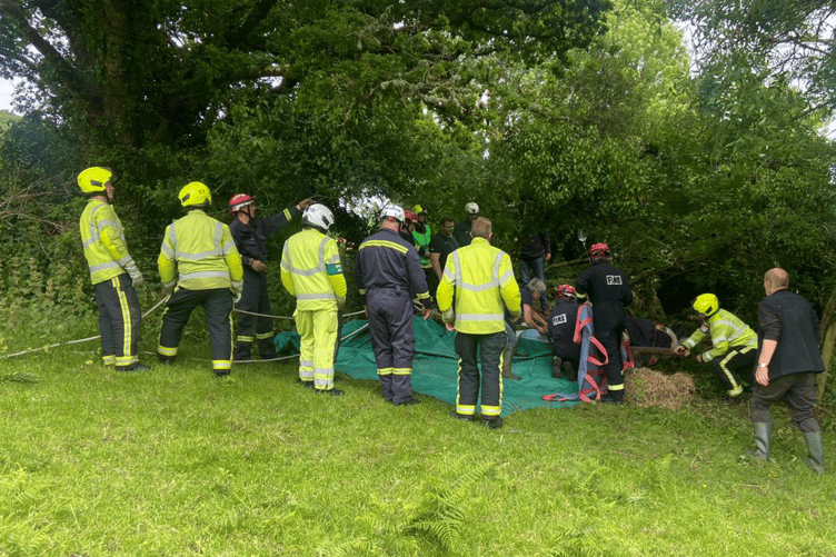 Mouse the mare rescued by Bovey Tracey firefighters