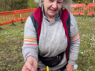 Bid to save endangered plant 