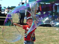 All the fun of the fair - the Ogwell way