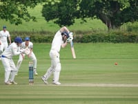 Tolchards Devon Cricket League weekend preview 29/6