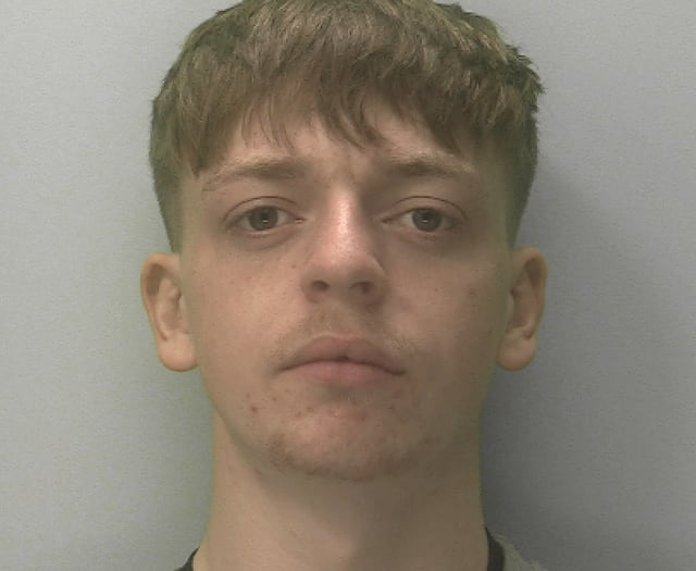 Drug dealer who operated at skate park jailed 