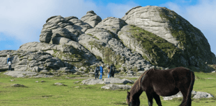 Dartmoor National Park Authority to launch new charity to protect moor