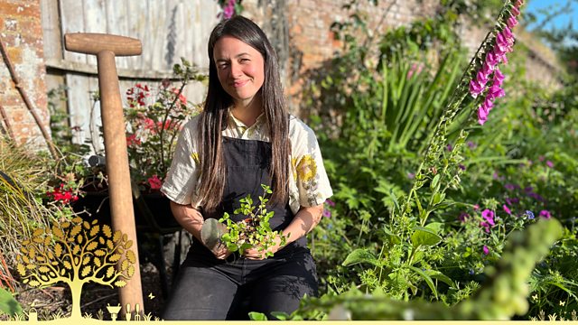 Castle to feature on top TV gardening show 