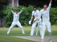 Tolchards Devon Cricket League weekend preview 06/07