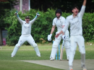 Tolchards Devon Cricket League weekend preview 06/07