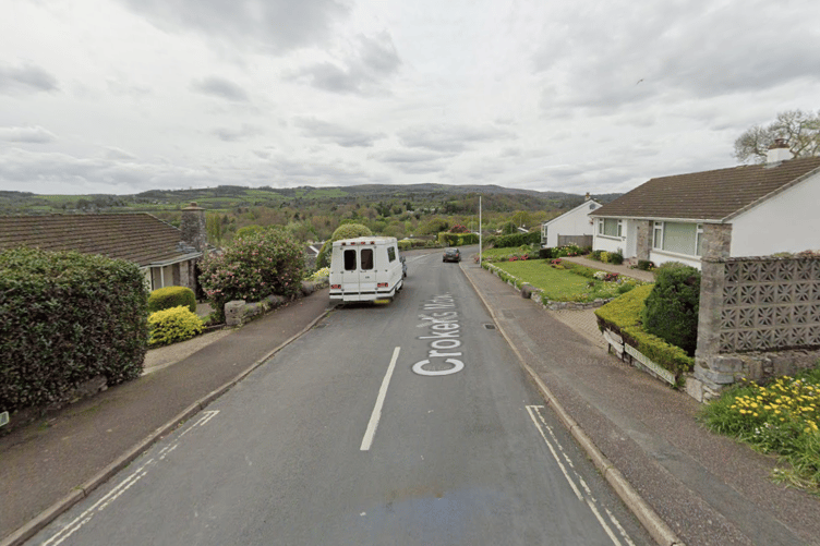 Croker's Meadow, Bovey Tracey