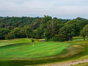 Teignmouth wins Devon Golf Ladies final