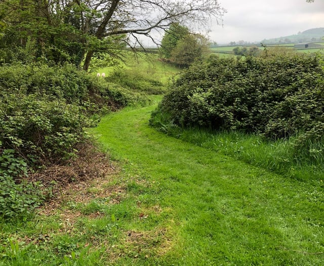 Go wild in Ogwell's wildlife haven 