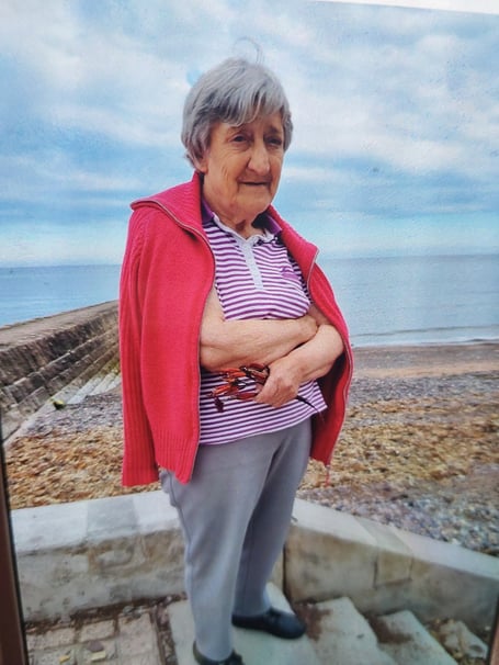 Tiborne Palko missing in Dawlish