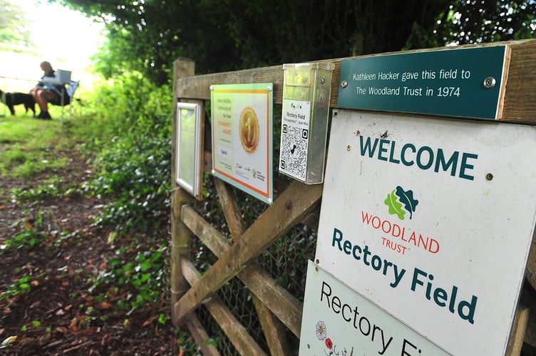 Ogwild open day at Rectory Field in Ogwell.