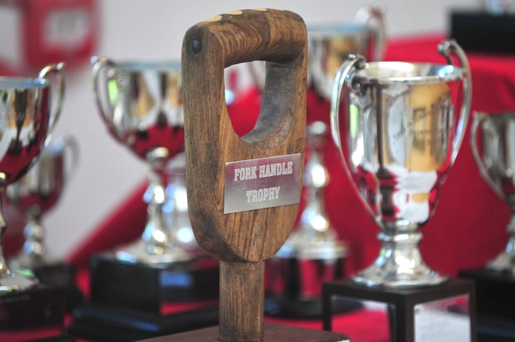 Stokeinteignhead Village Show. The haul of trophies up for grabs