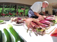 Entries make for close judging at village show