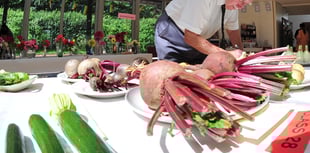 Entries make for close judging at village show