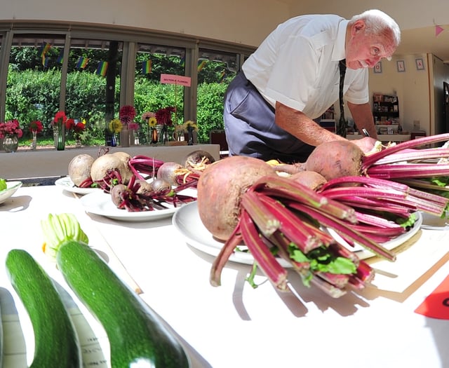 Entries make for close judging at village show