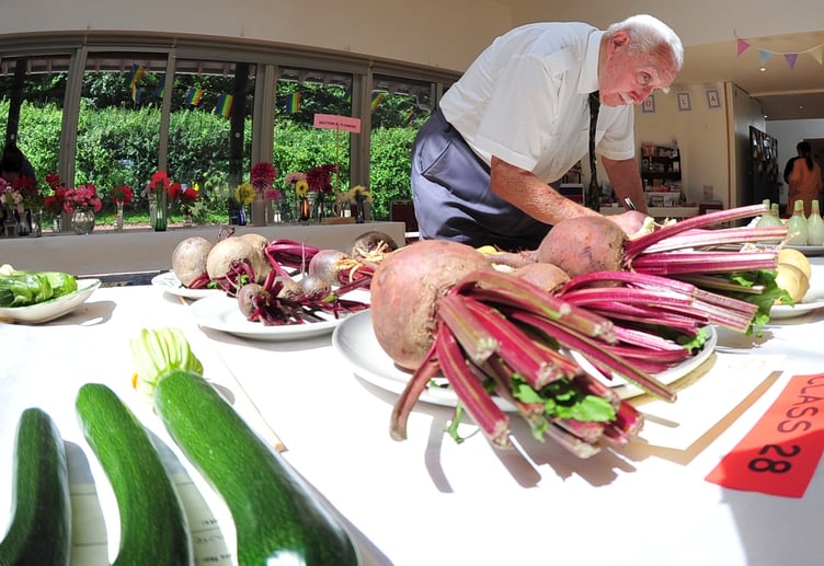 Stokeinteignhead Village Show. Vegetable judge Joe Wallis