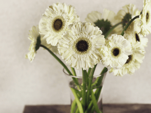 Don't miss garden club's summer show