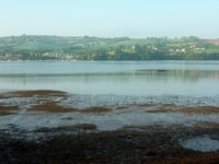 Fresh council demands over Teign sewage 