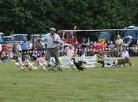 Christow Show in the heart of the Teign Valley