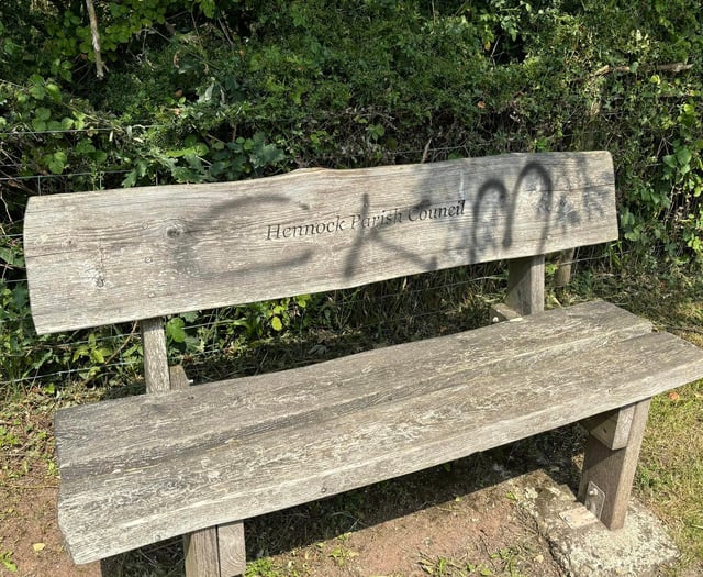 Vandals deface council bench 