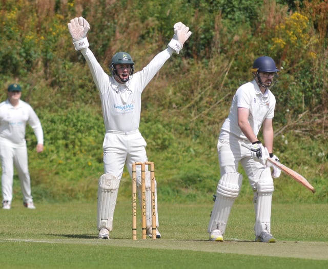 Tolchards Devon Cricket League weekend preview 31/08