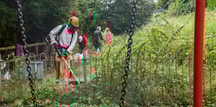 Guerilla gardeners strike again