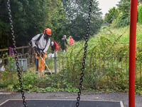 Guerilla gardeners strike again