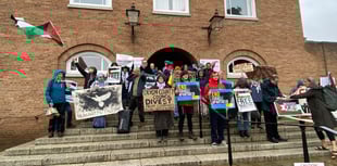 Pro-Gaza protestors petition County Council 