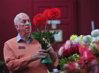 Green-fingered gardeners create riot of colour