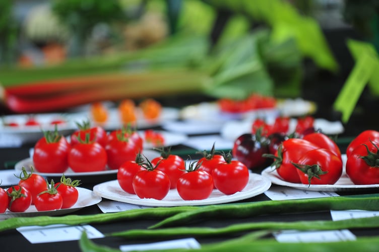 Kingskerswell and District Garden Society Autumn Show