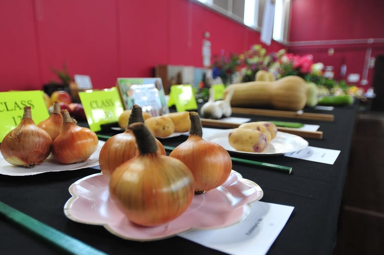 Kingskerswell and District Garden Society Autumn Show