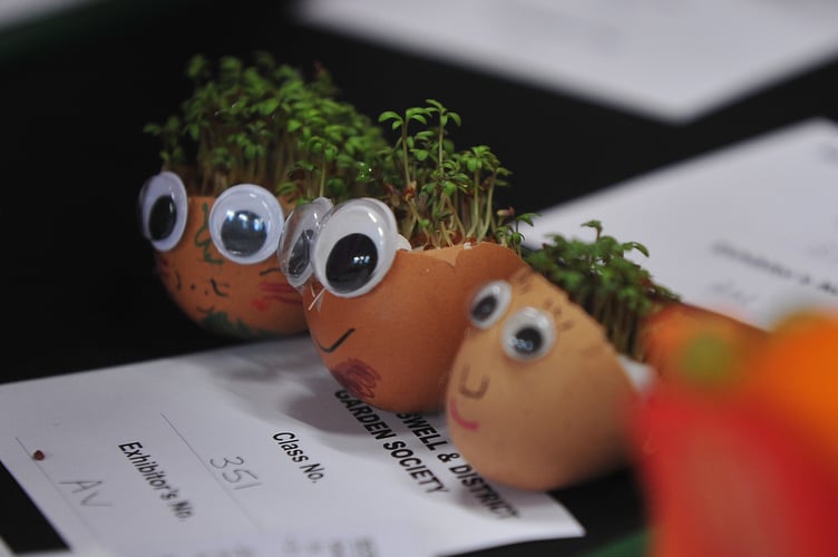 Kingskerswell and District Garden Society Autumn Show