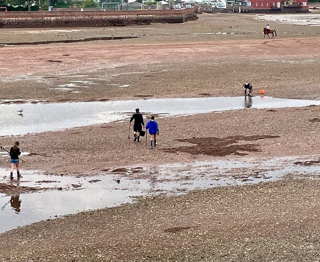 Cockle picking concerns