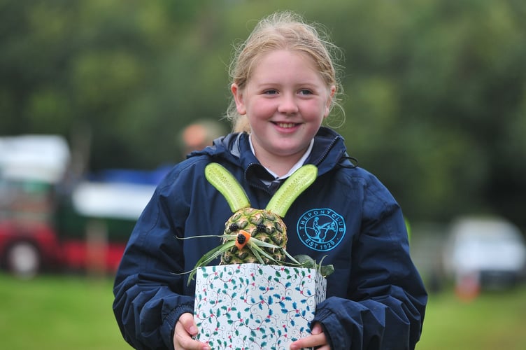 Widecombe Fair. Nine year old Annabelle Hawker from Shaugh Prior walks her exhibit through the showground