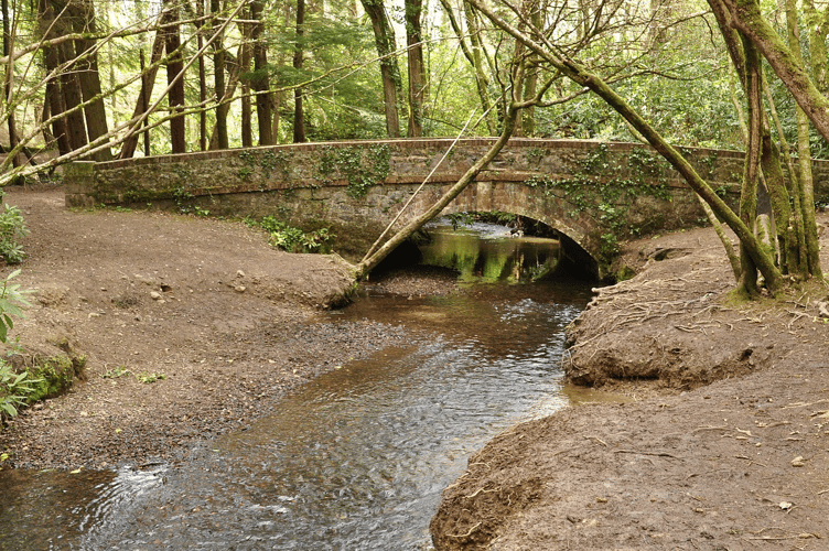 Bridge over stream in Stover Country Park.