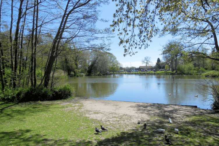 Decoy Pond in the sun.