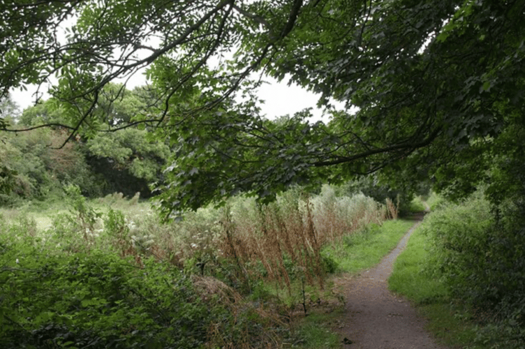 Path on Hackney Marshes This path runs alongside a narrow eastern wedge of the nature reserve south of Woodmere Way.