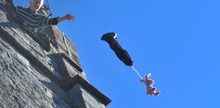 Brace for landing Ted