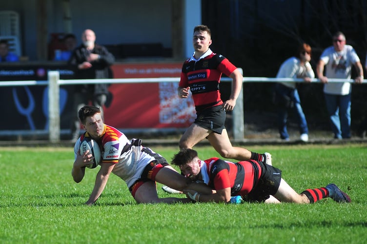Rugby. Regional 2 Tribute South West.  Newton Abbot versus Wellington. 