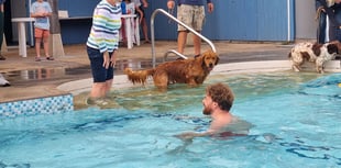 Ashburton pool and youth to benefit from council tax increase