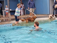 Ashburton pool and youth to benefit from council tax increase