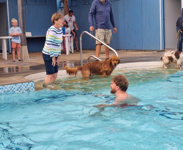 Ashburton pool and youth to benefit from council tax increase