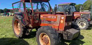 Tractors travel all points west in autumn auction