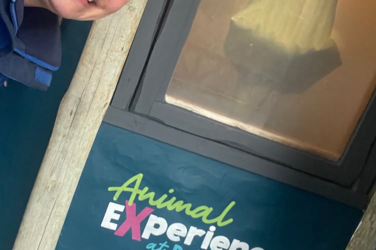 Arriving at the zookeeper for the day meeting point